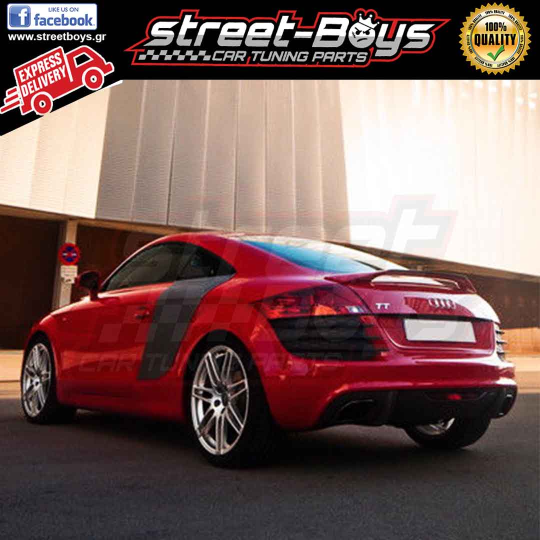 Sideblades Side Blades Aus Carbon Für Alle Audi TT TTS 8J